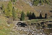 86 - località il Lago del Prato (Pra' del Lach)